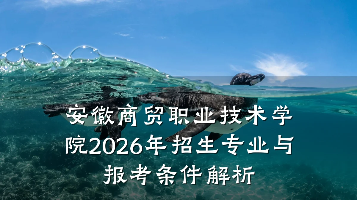 安徽商贸职业技术学院2026年招生专业与报考条件解析