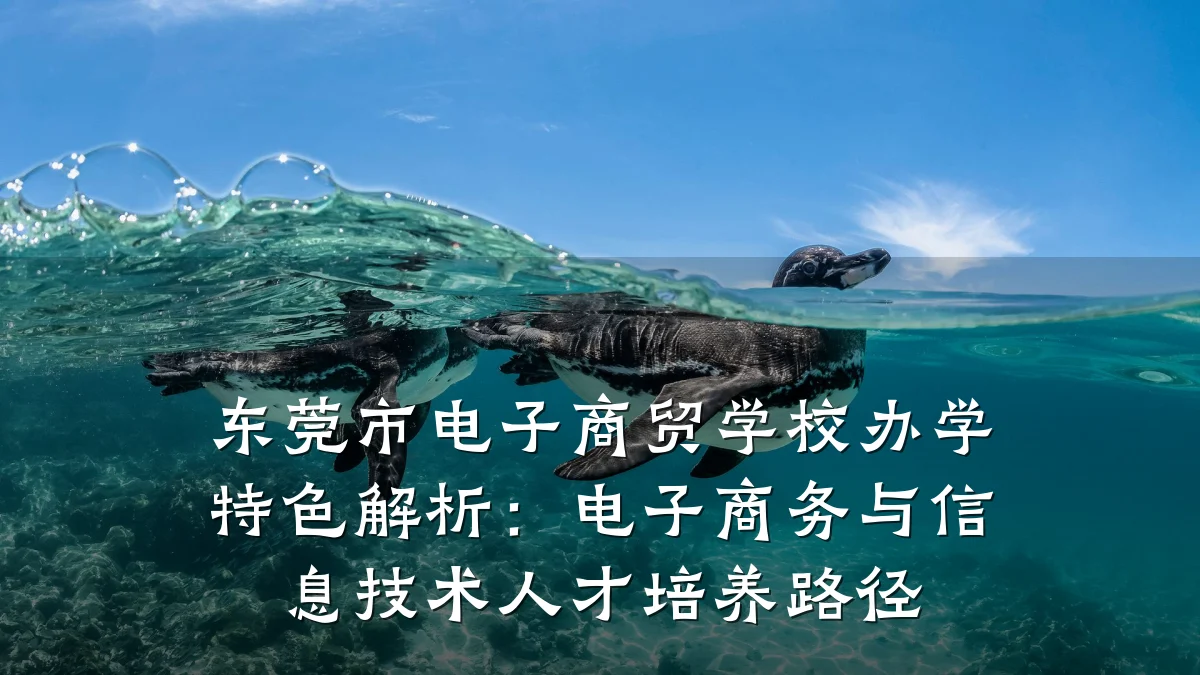 东莞市电子商贸学校办学特色解析:电子商务与信息技术人才培养路径
