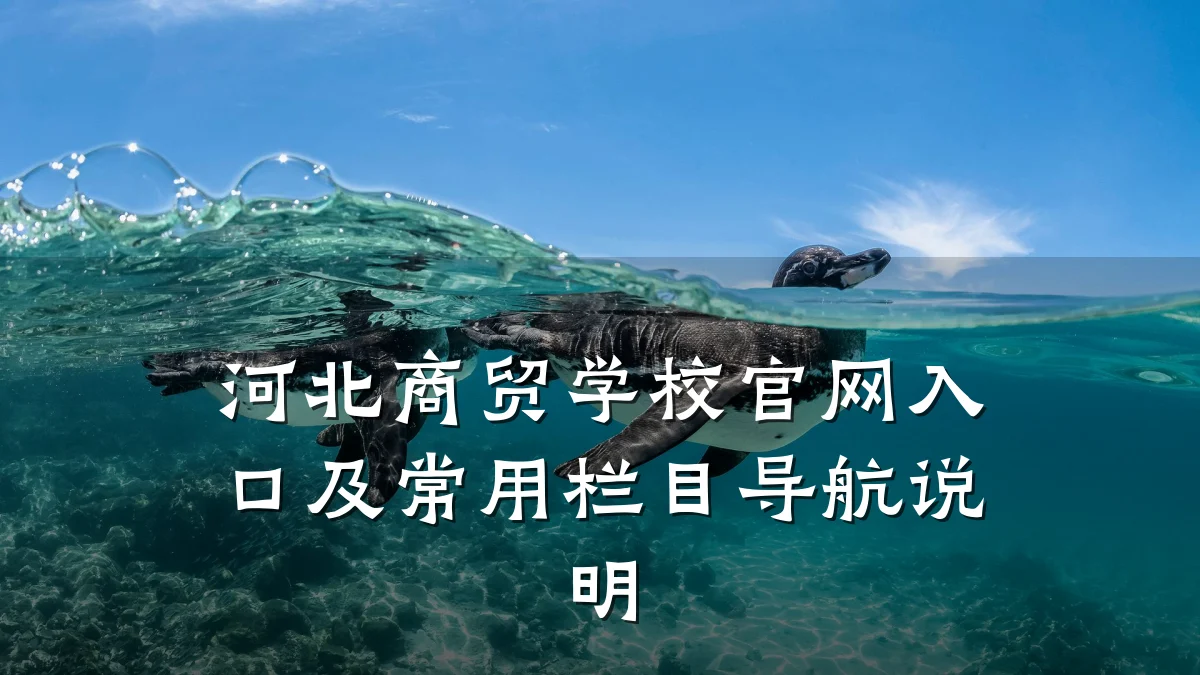河北商贸学校官网入口及常用栏目导航说明