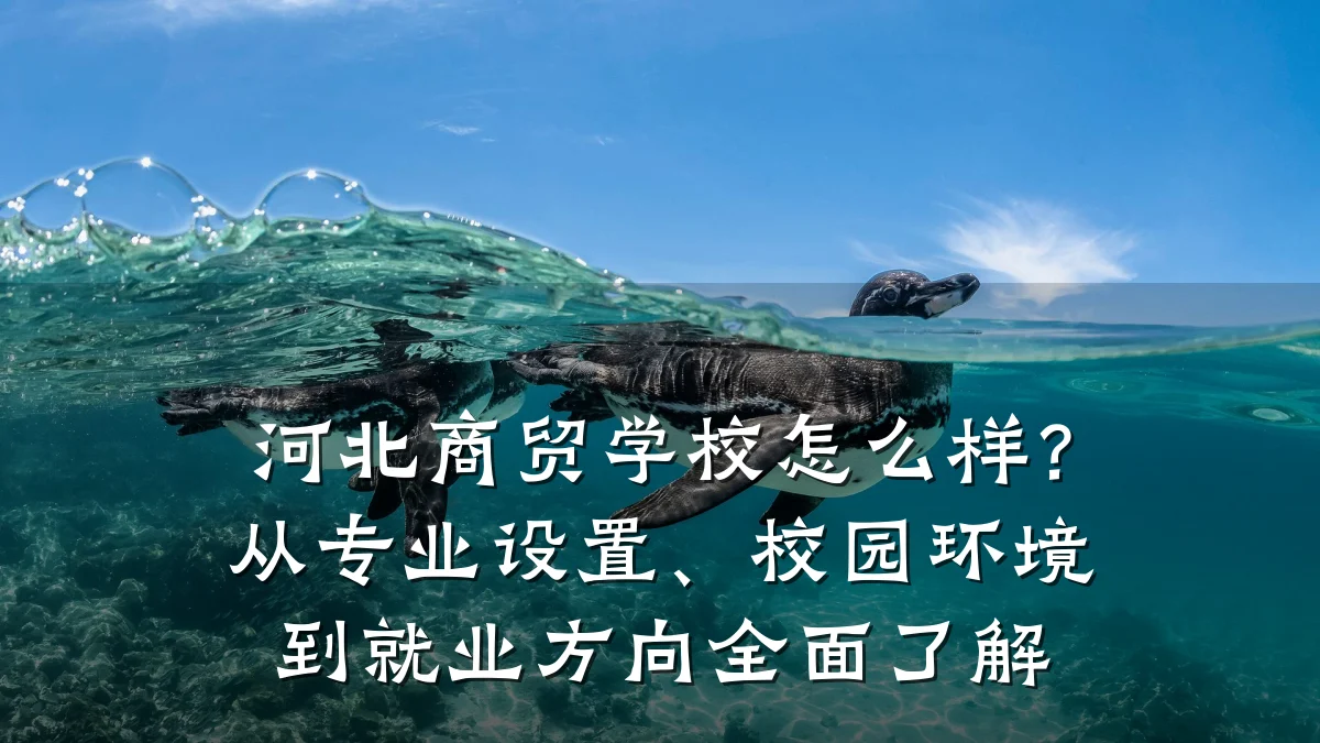 河北商贸学校怎么样?从专业设置、校园环境到就业方向全面了解