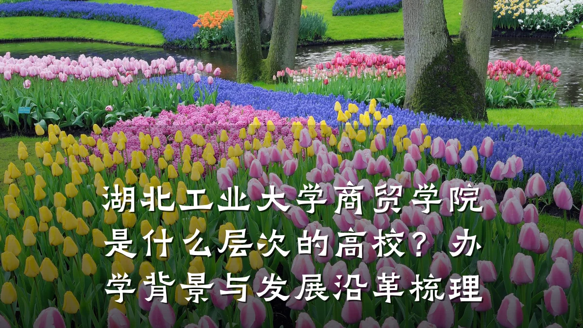 湖北工业大学商贸学院是什么层次的高校?办学背景与发展沿革梳理