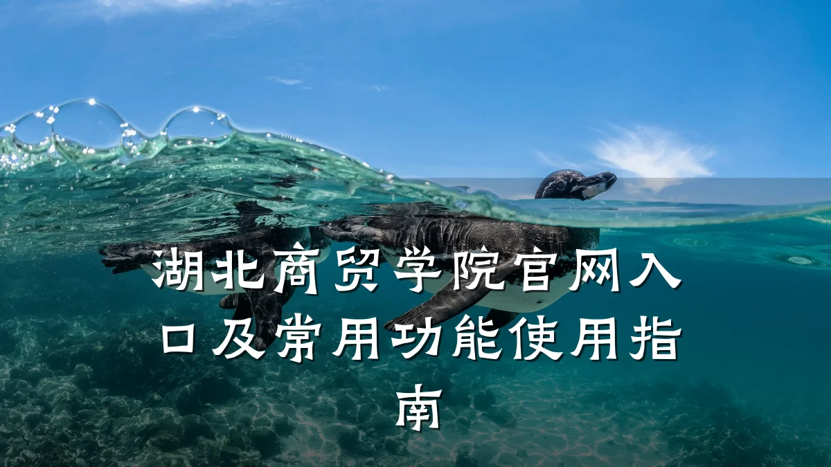 湖北商贸学院官网入口及常用功能使用指南