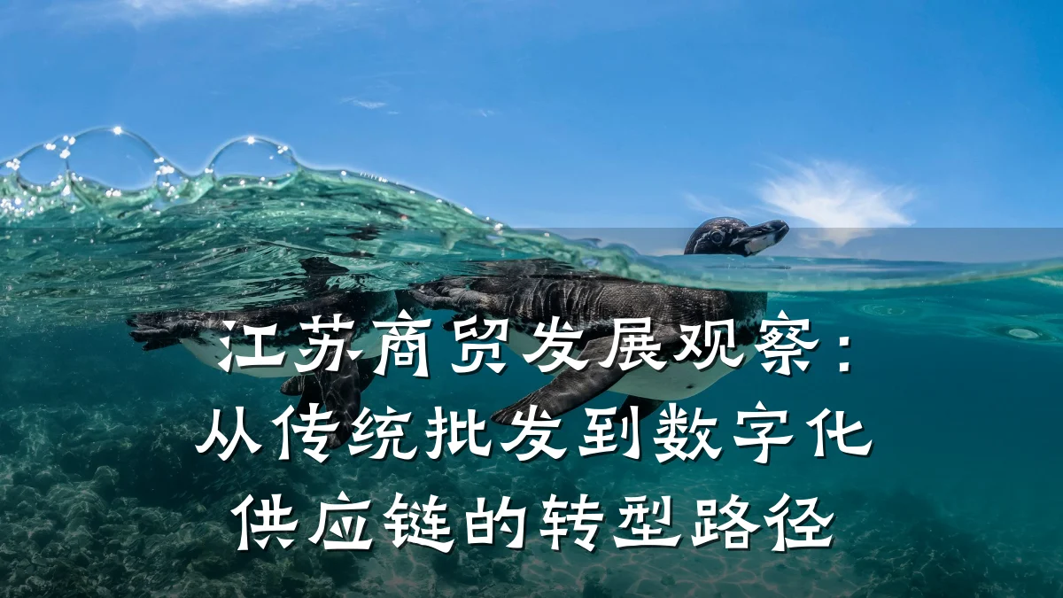 江苏商贸发展观察：从传统批发到数字化供应链的转型路径