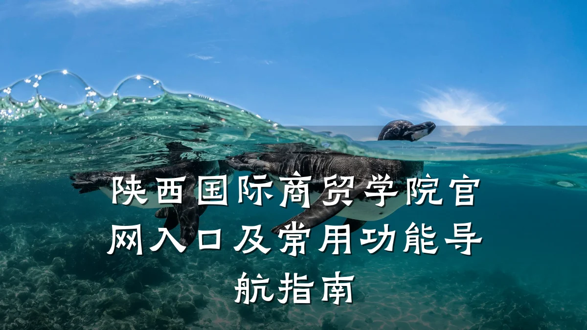 陕西国际商贸学院官网入口及常用功能导航指南
