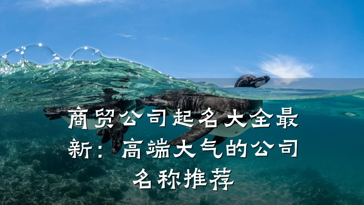 商贸公司起名大全最新:高端大气的公司名称推荐