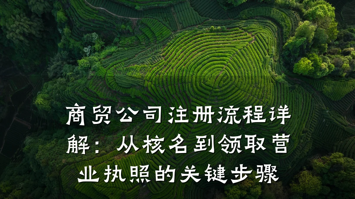商贸公司注册流程详解:从核名到领取营业执照的关键步骤