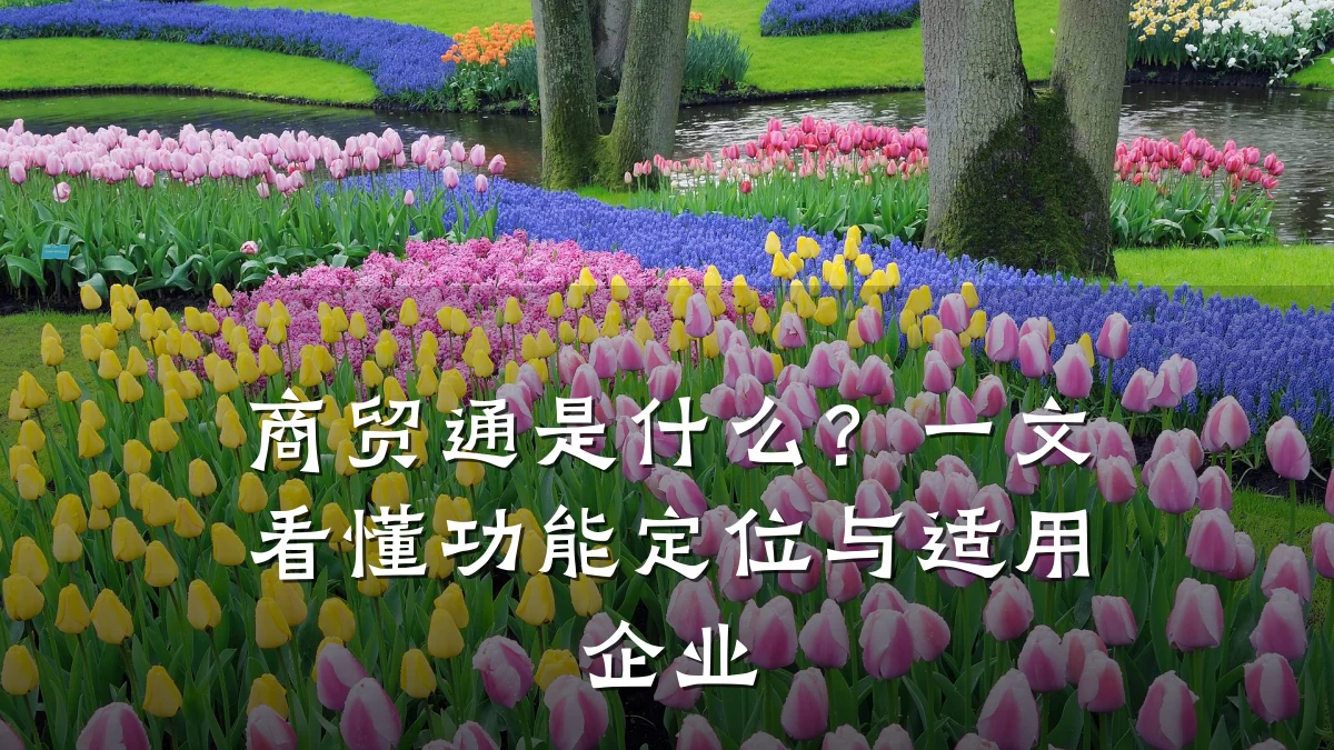 商贸通是什么?一文看懂功能定位与适用企业
