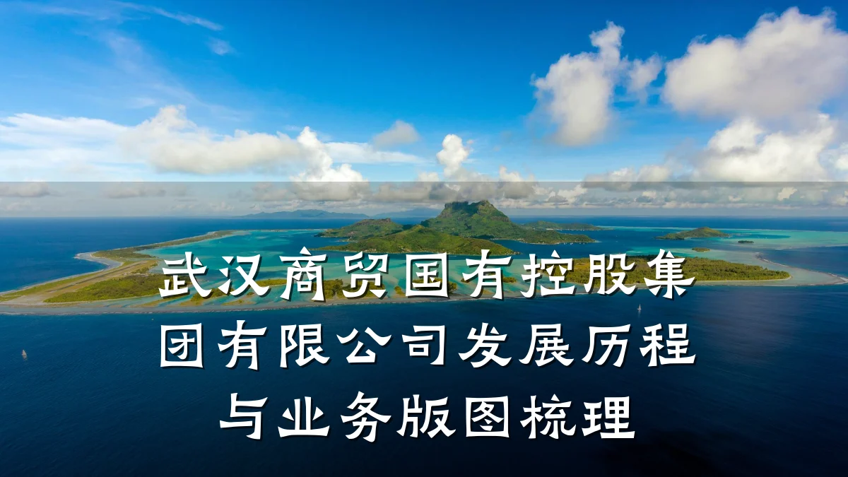 武汉商贸国有控股集团有限公司发展历程与业务版图梳理