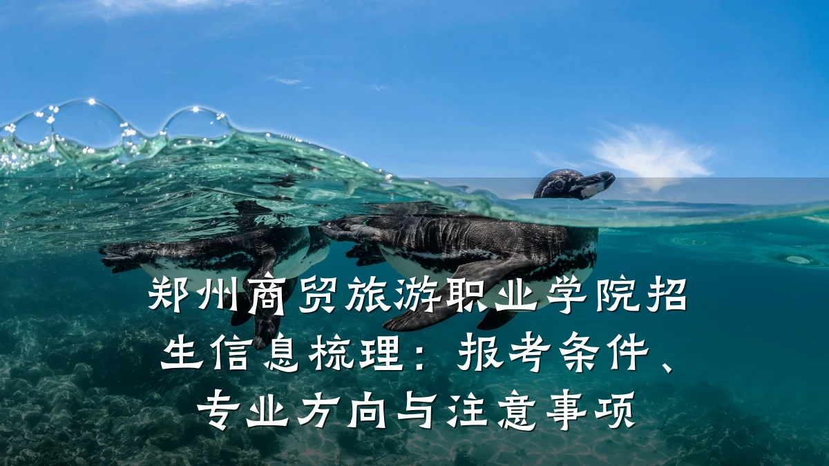 郑州商贸旅游职业学院招生信息梳理:报考条件、专业方向与注意事项