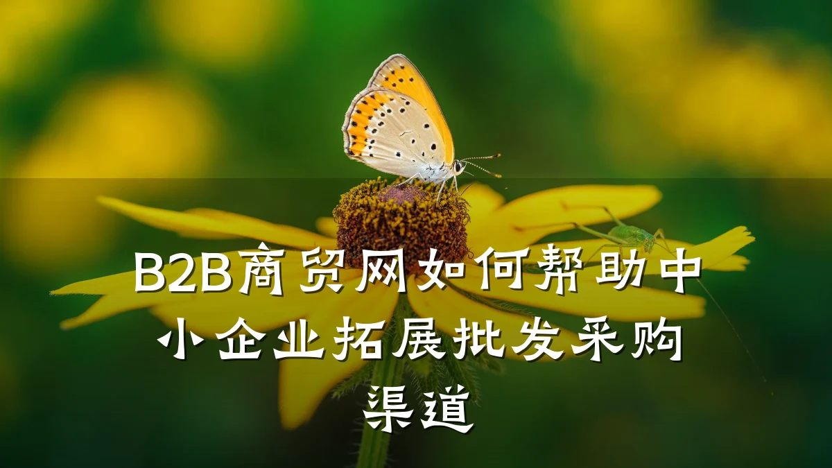 B2B商贸网如何帮助中小企业拓展批发采购渠道