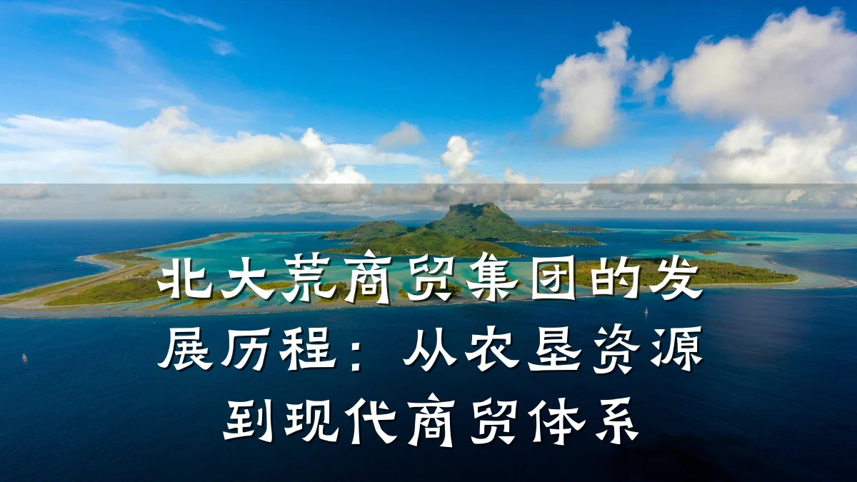 北大荒商贸集团的发展历程:从农垦资源到现代商贸体系