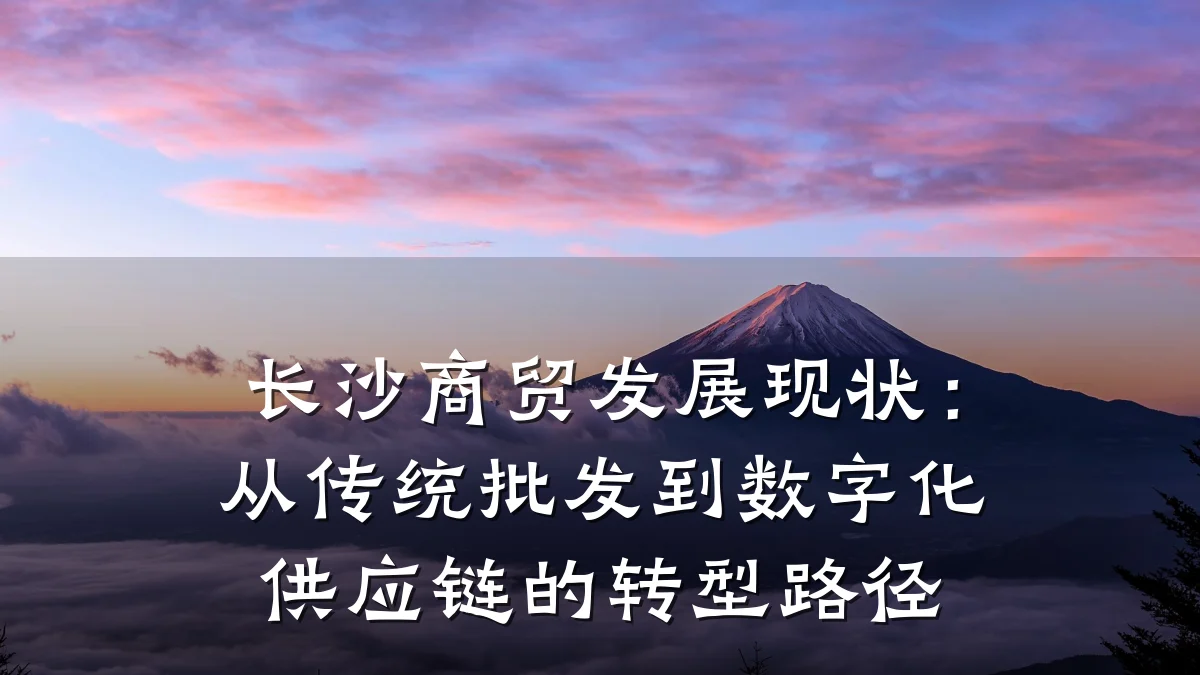 长沙商贸发展现状：从传统批发到数字化供应链的转型路径
