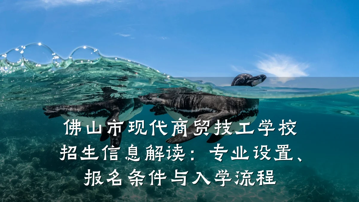 佛山市现代商贸技工学校招生信息解读：专业设置、报名条件与入学流程