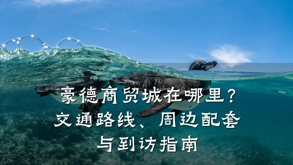 豪德商贸城在哪里?交通路线、周边配套与到访指南