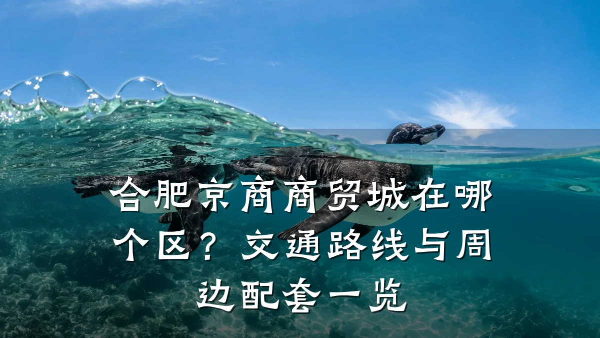 合肥京商商贸城在哪个区?交通路线与周边配套一览