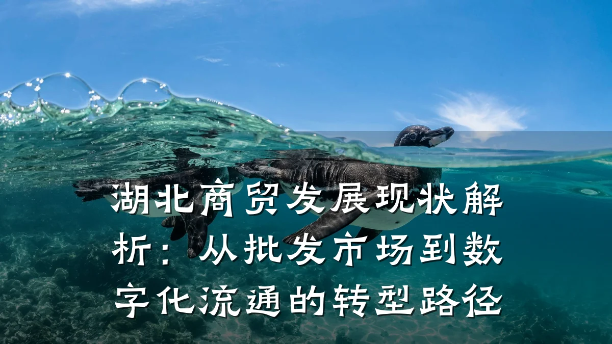湖北商贸发展现状解析:从批发市场到数字化流通的转型路径