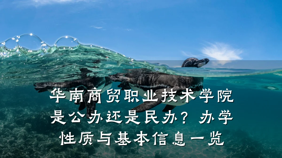 华南商贸职业技术学院是公办还是民办?办学性质与基本信息一览