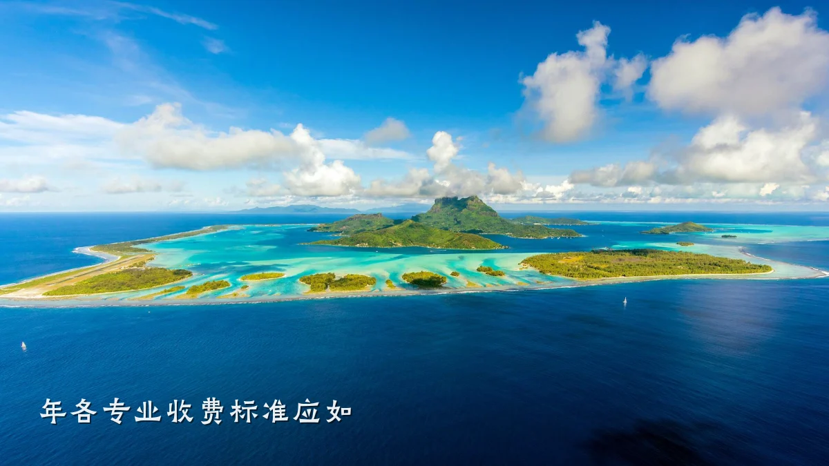 年各专业收费标准应如