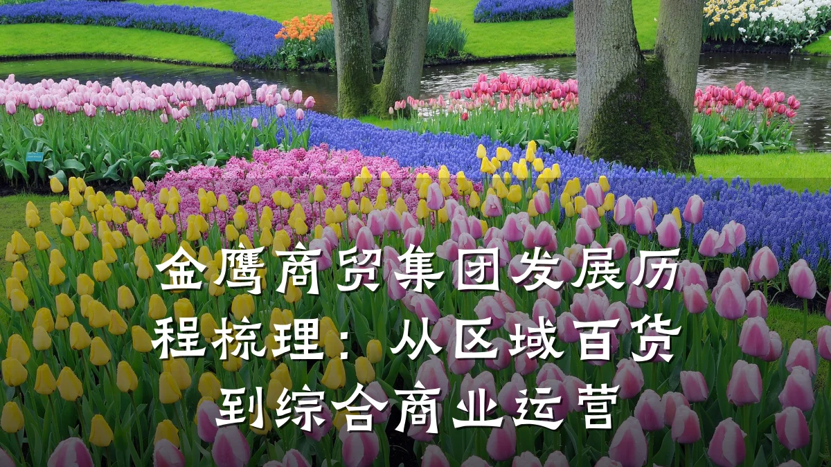 金鹰商贸集团发展历程梳理:从区域百货到综合商业运营