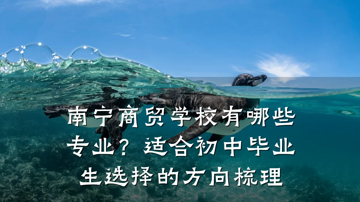 南宁商贸学校有哪些专业?适合初中毕业生选择的方向梳理