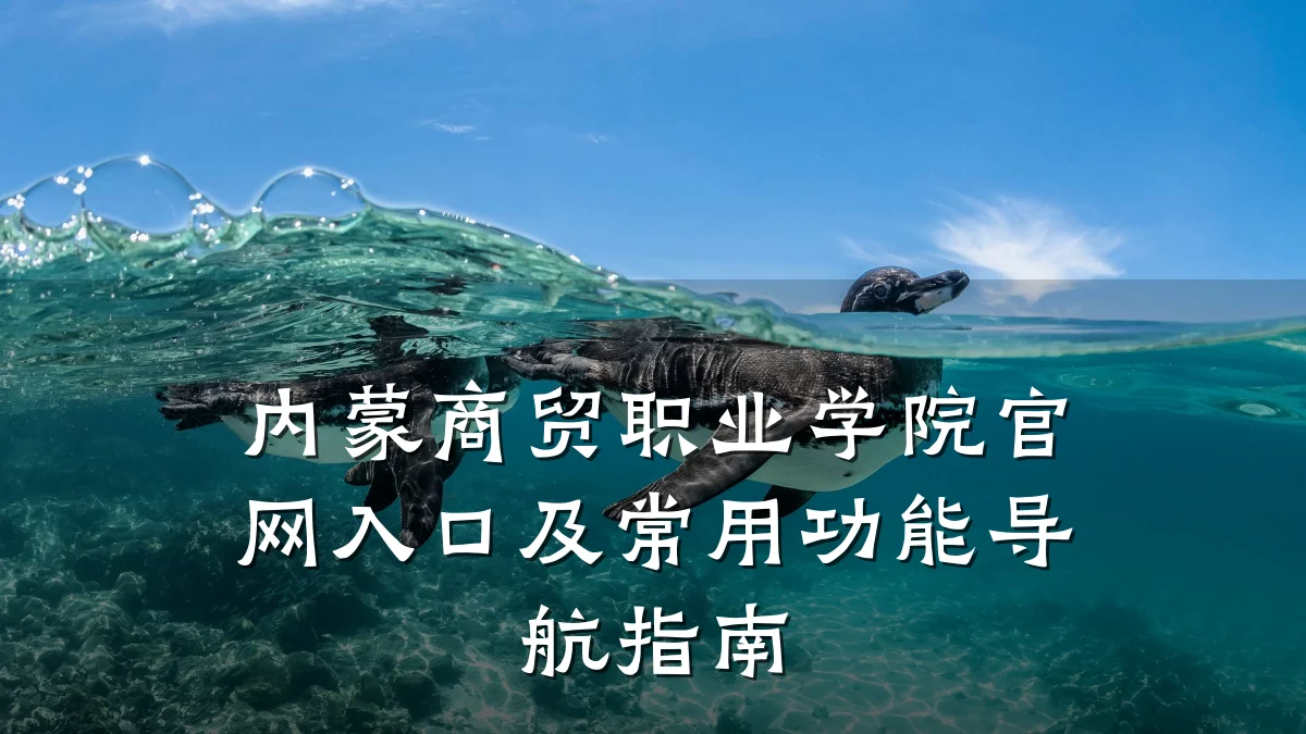 内蒙商贸职业学院官网入口及常用功能导航指南