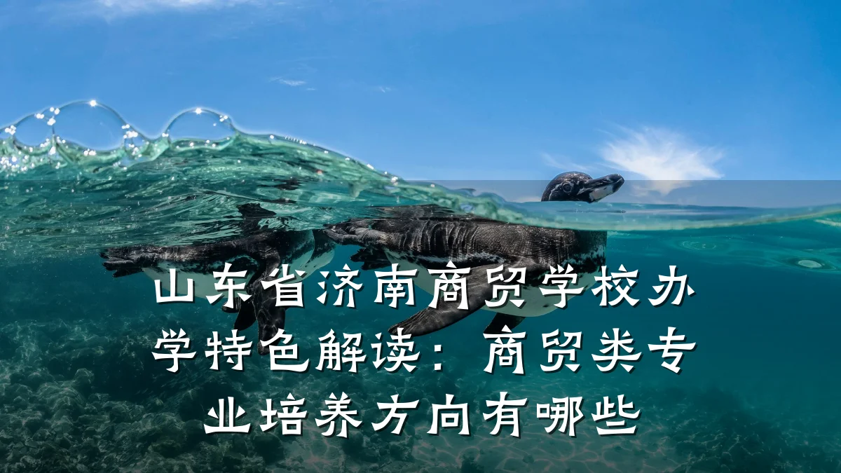 山东省济南商贸学校办学特色解读：商贸类专业培养方向有哪些