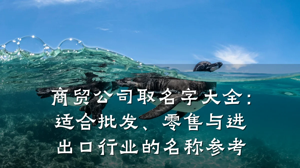 商贸公司取名字大全：适合批发、零售与进出口行业的名称参考
