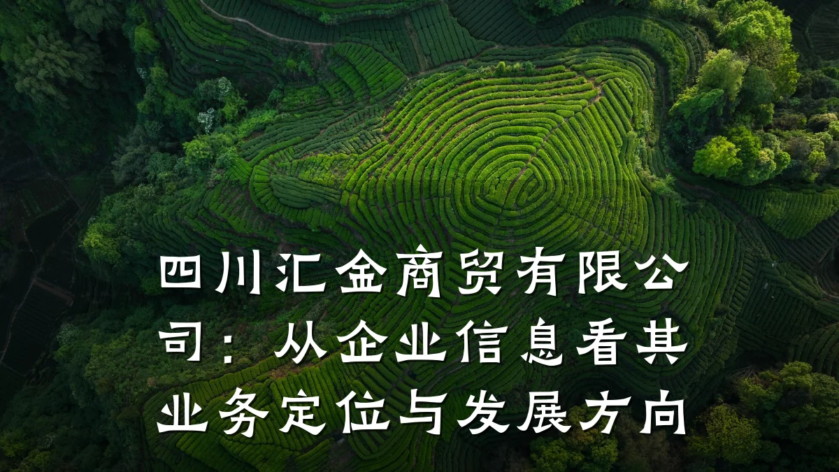 四川汇金商贸有限公司:从企业信息看其业务定位与发展方向