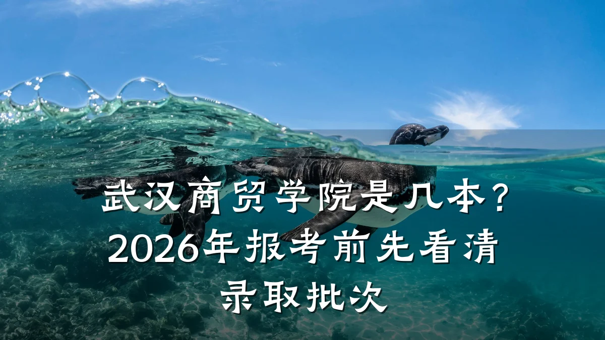 武汉商贸学院是几本?2026年报考前先看清录取批次