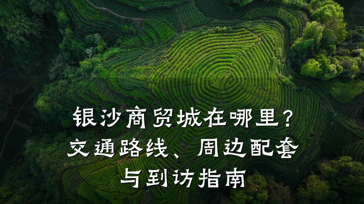 银沙商贸城在哪里？交通路线、周边配套与到访指南