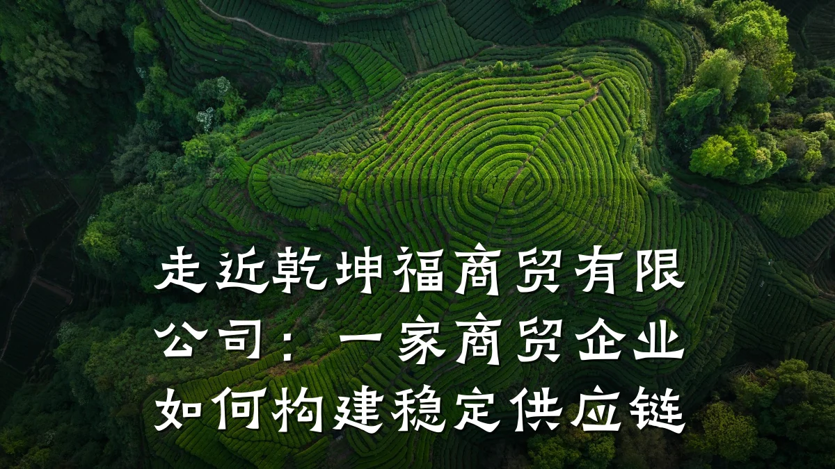 走近乾坤福商贸有限公司：一家商贸企业如何构建稳定供应链