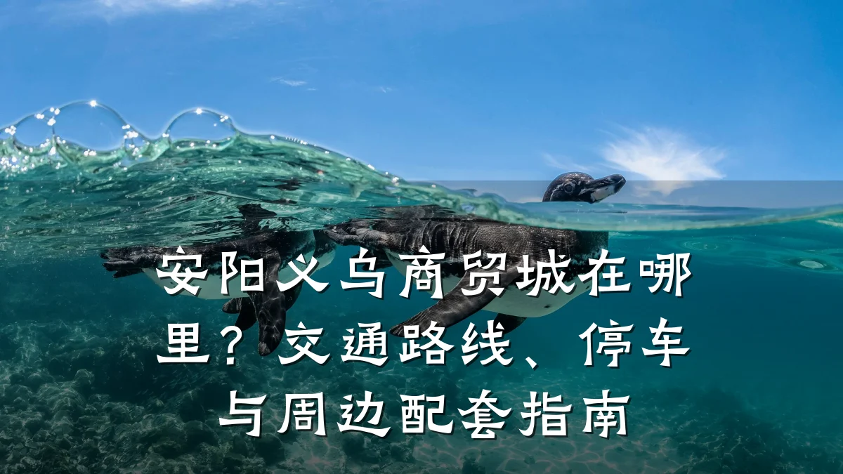 安阳义乌商贸城在哪里？交通路线、停车与周边配套指南