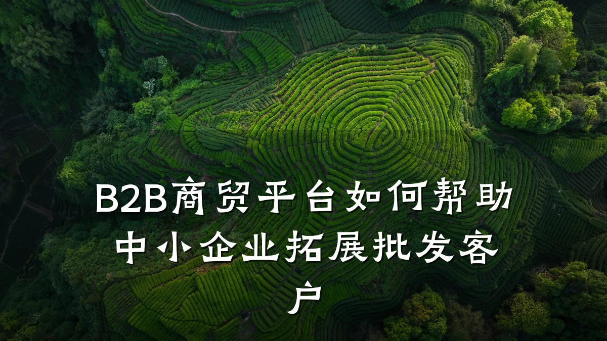 B2B商贸平台如何帮助中小企业拓展批发客户