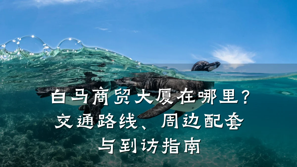 白马商贸大厦在哪里？交通路线、周边配套与到访指南