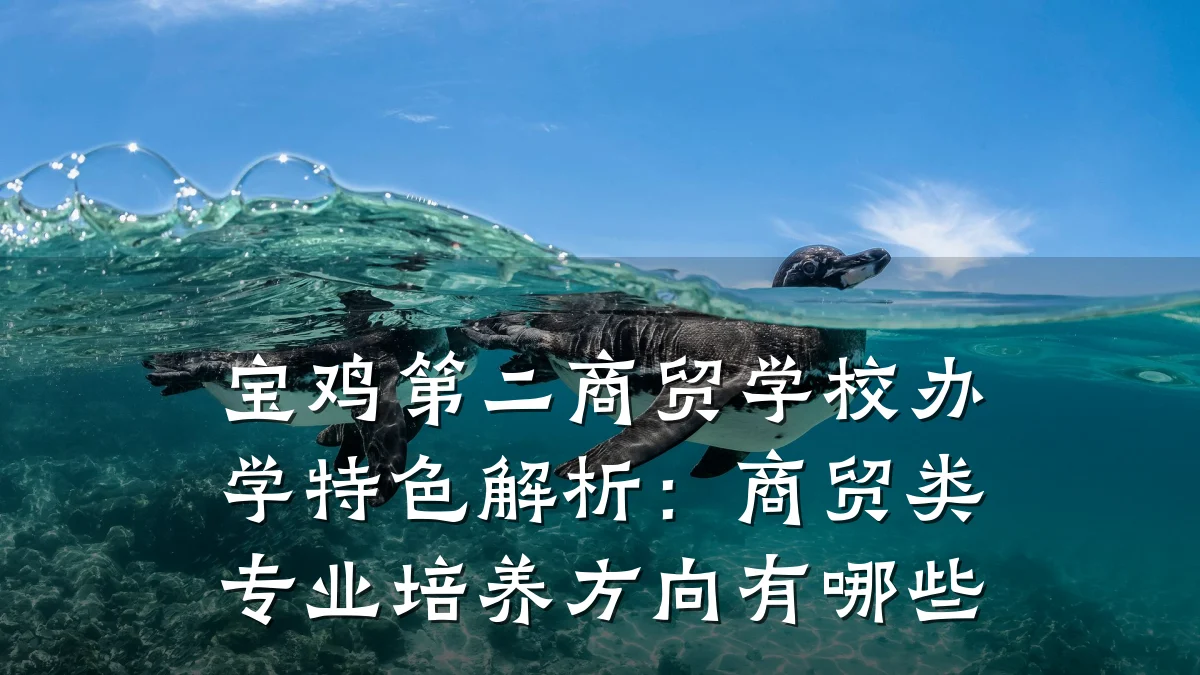 宝鸡第二商贸学校办学特色解析:商贸类专业培养方向有哪些