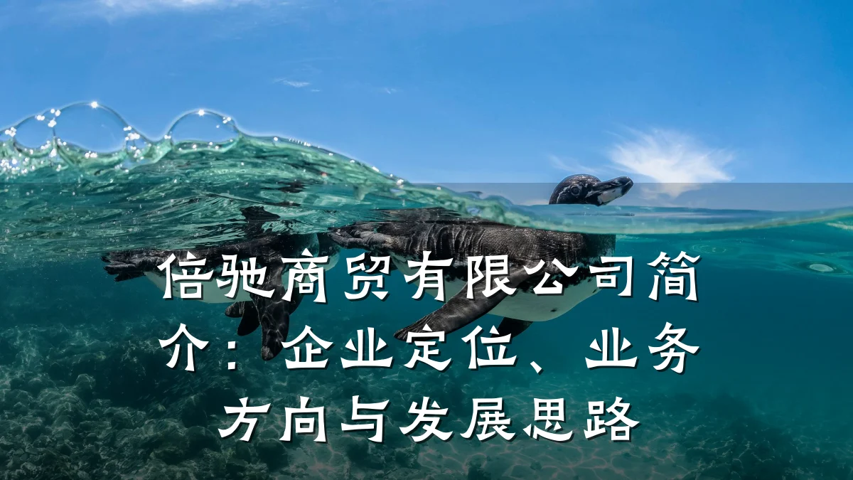 倍驰商贸有限公司简介：企业定位、业务方向与发展思路
