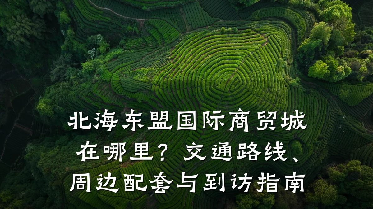 北海东盟国际商贸城在哪里？交通路线、周边配套与到访指南