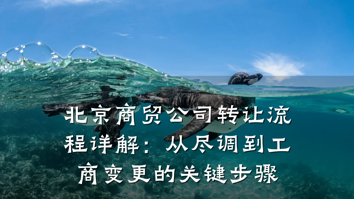 北京商贸公司转让流程详解:从尽调到工商变更的关键步骤