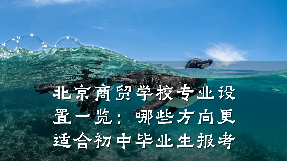 北京商贸学校专业设置一览：哪些方向更适合初中毕业生报考