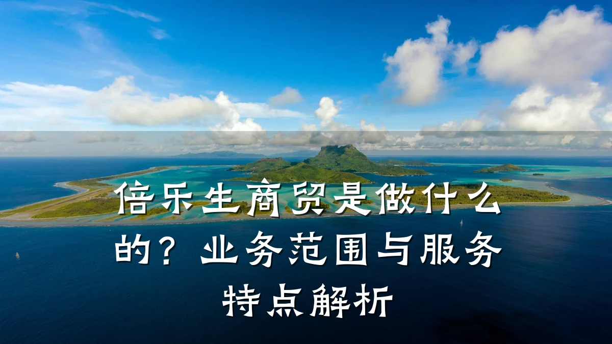 倍乐生商贸是做什么的？业务范围与服务特点解析