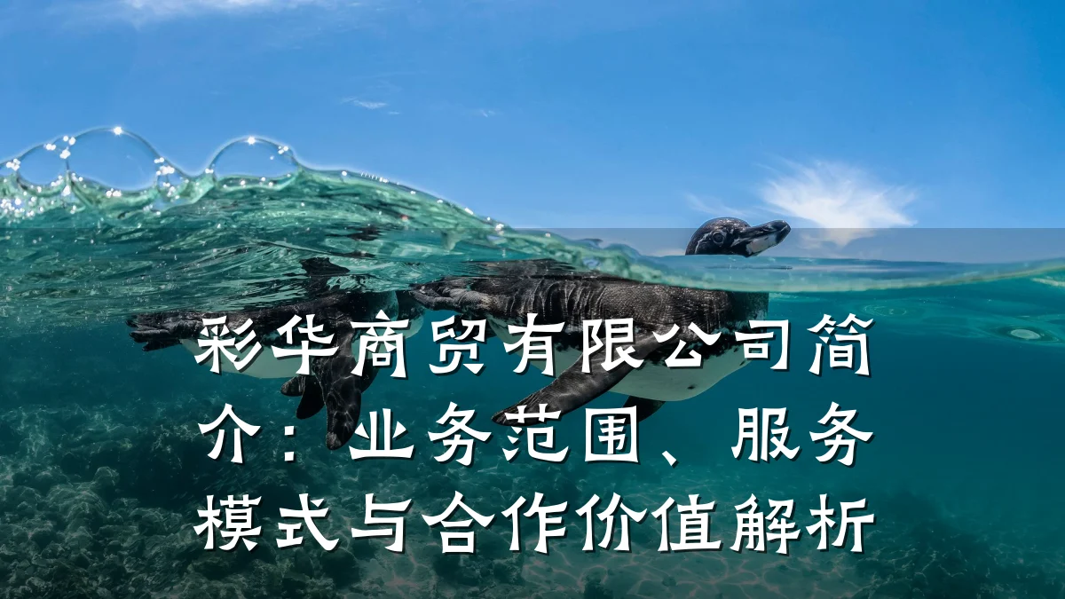 彩华商贸有限公司简介:业务范围、服务模式与合作价值解析