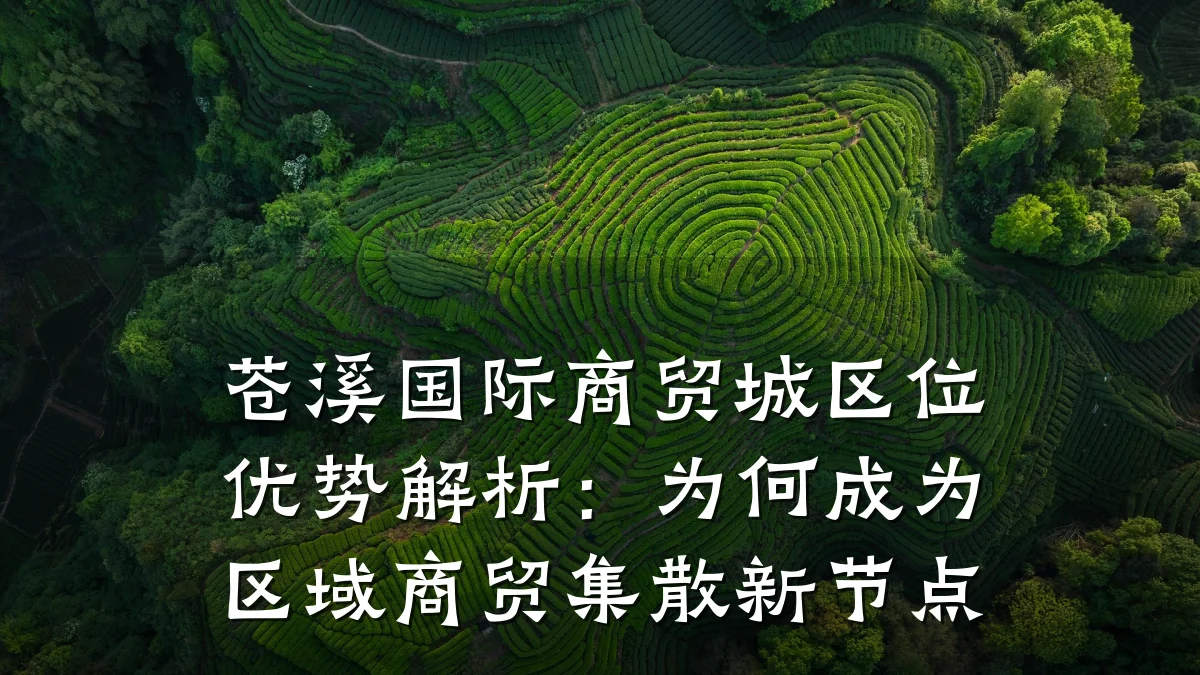 苍溪国际商贸城区位优势解析：为何成为区域商贸集散新节点