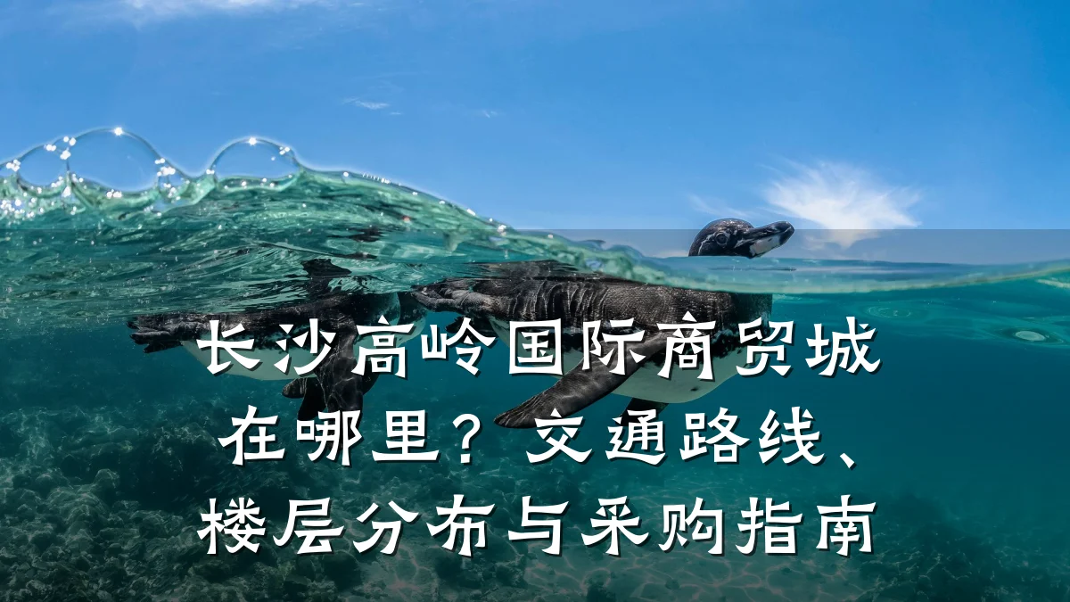 长沙高岭国际商贸城在哪里？交通路线、楼层分布与采购指南