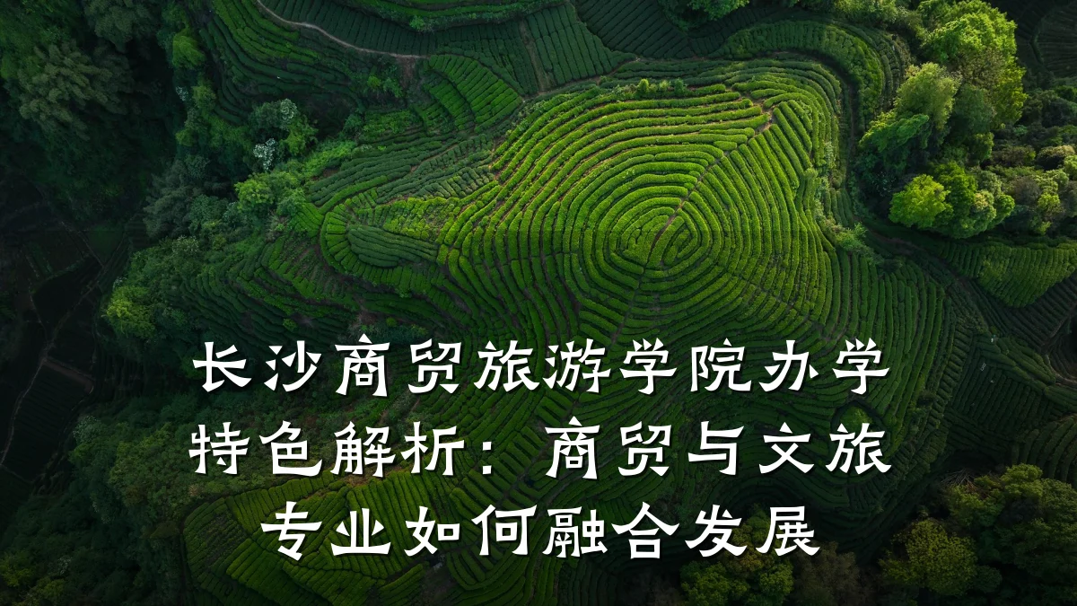长沙商贸旅游学院办学特色解析:商贸与文旅专业如何融合发展