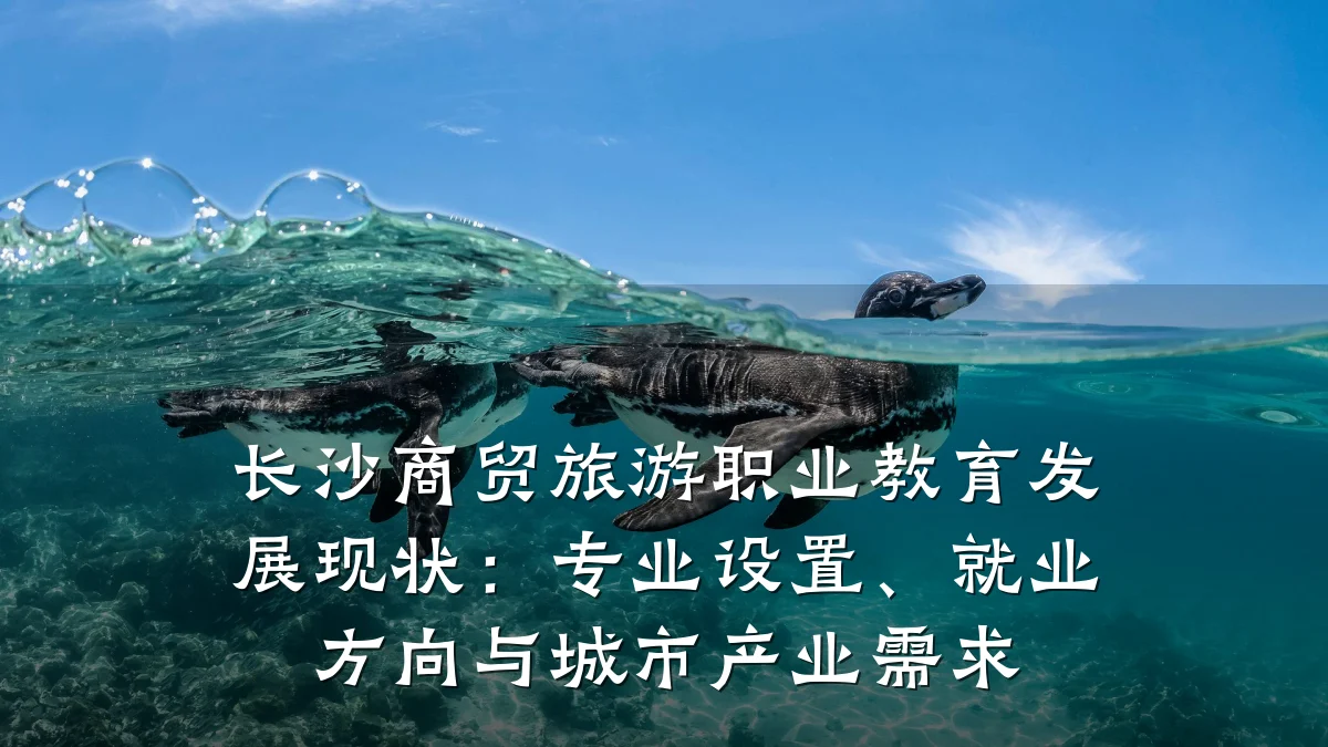 长沙商贸旅游职业教育发展现状:专业设置、就业方向与城市产业需求