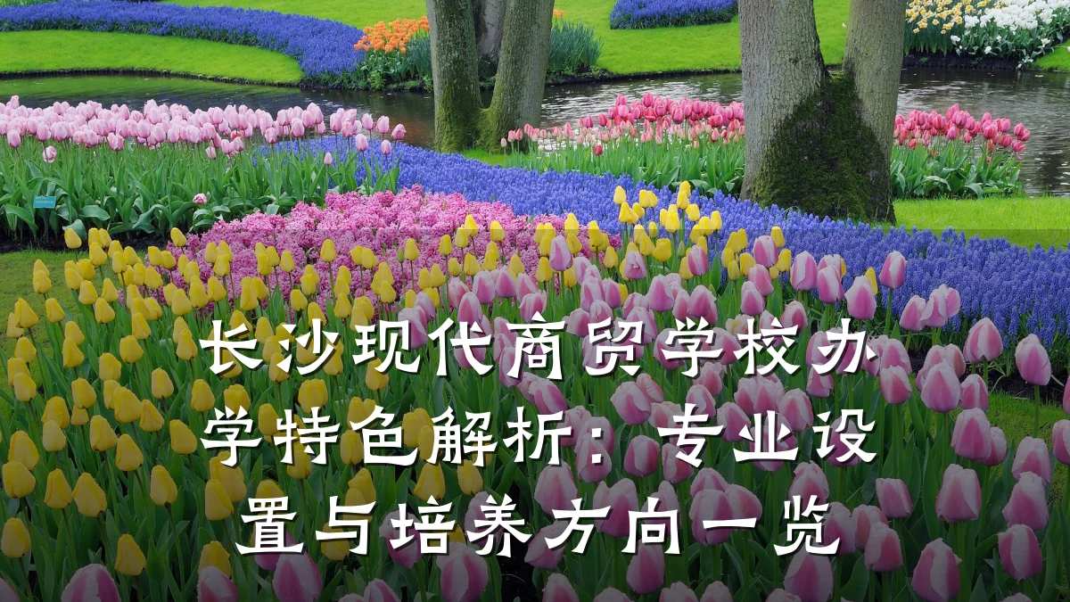长沙现代商贸学校办学特色解析:专业设置与培养方向一览