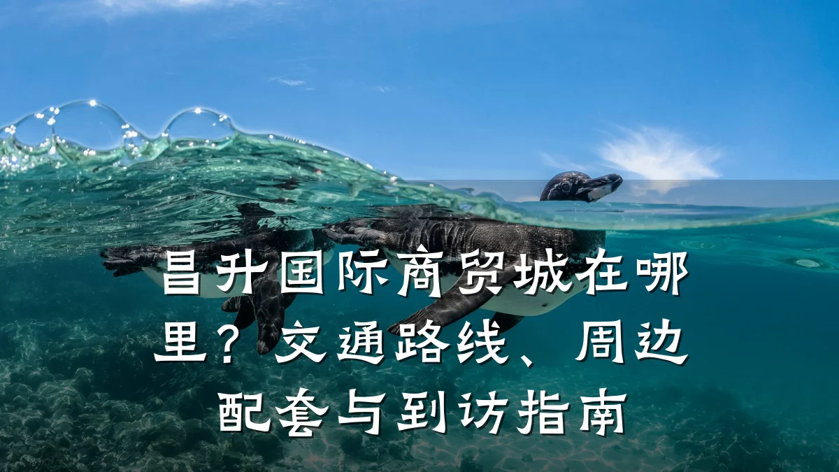 昌升国际商贸城在哪里？交通路线、周边配套与到访指南