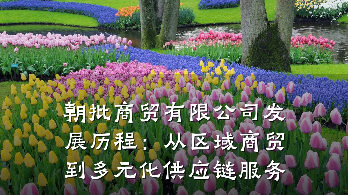 朝批商贸有限公司发展历程：从区域商贸到多元化供应链服务