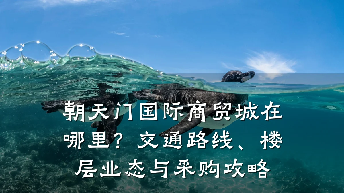 朝天门国际商贸城在哪里？交通路线、楼层业态与采购攻略