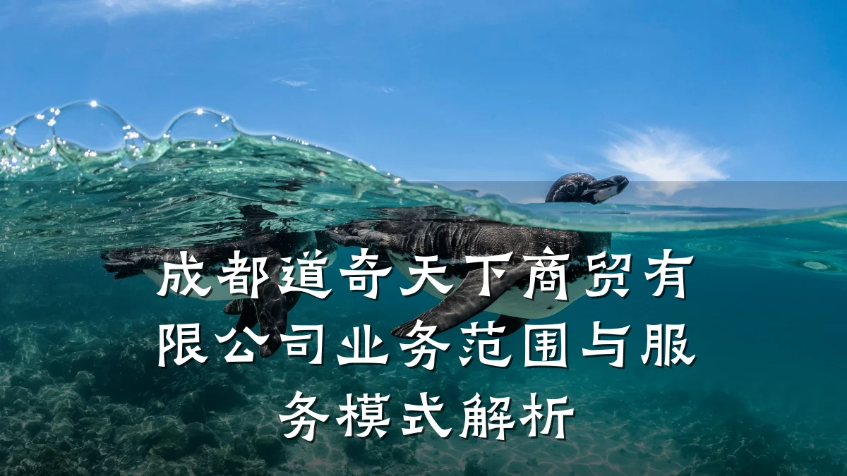 成都道奇天下商贸有限公司业务范围与服务模式解析